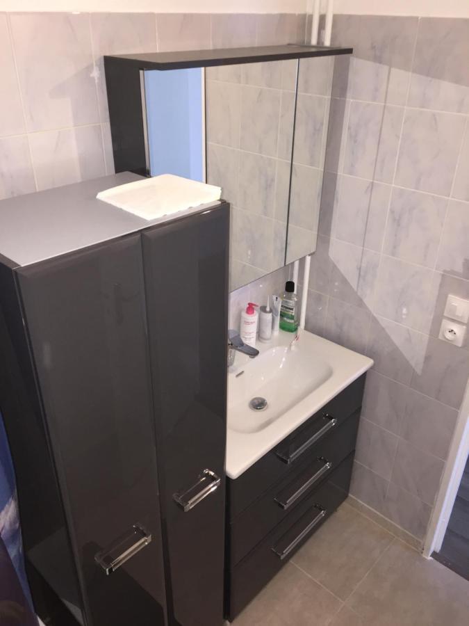 Grand Appartement A Louer Vue Sur Seine Мелён Экстерьер фото